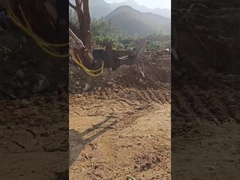 نوع هیدرولیک WuYing Excavator Grabber ، پنج پنجنگ چوب Grabber ، لباس برای Excavator